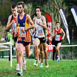Voluntariat Cros Ciutat de Girona 