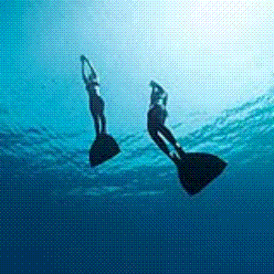 Introducció a l'apnea (cap de setmana). 1 ECTS