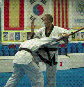Introducción al taekwondo y a la defensa personal (Mi 15h) (1+1ECTS).