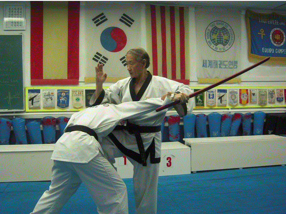 Introducció al taekwondo i a la defensa personal (dc 15h) (1+1ECTS).