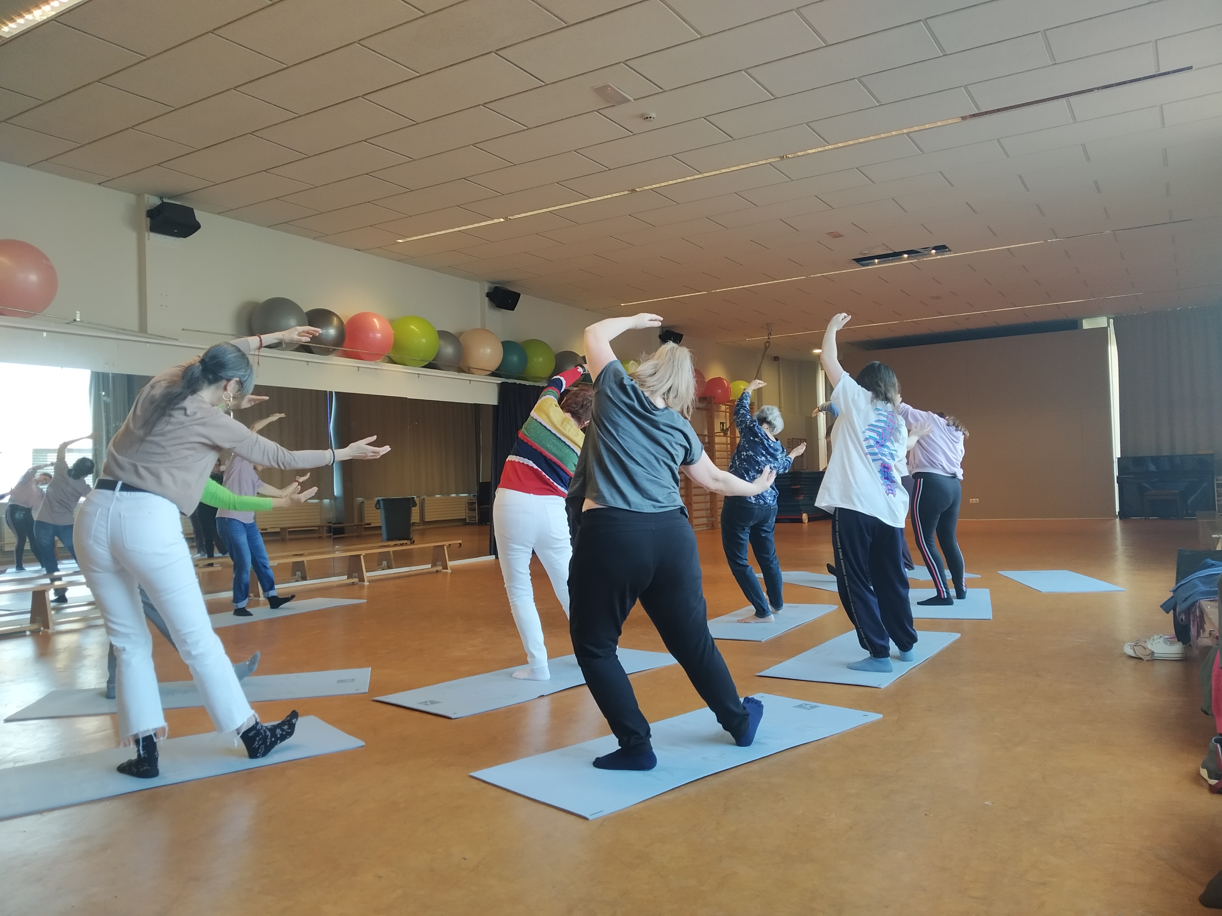 QI GONG BV ESTIU (divendres 8 h)