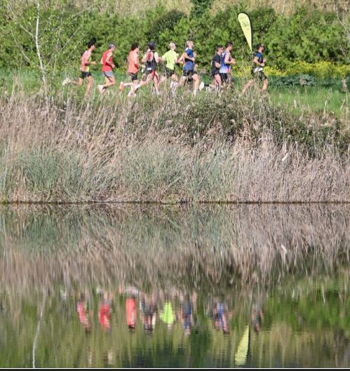 Voluntariat Mitja marató Pla de l'Estany