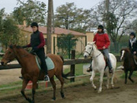 Introducció a l'equitació  i al maneig del cavall (dc 10 h) 1 ECTS