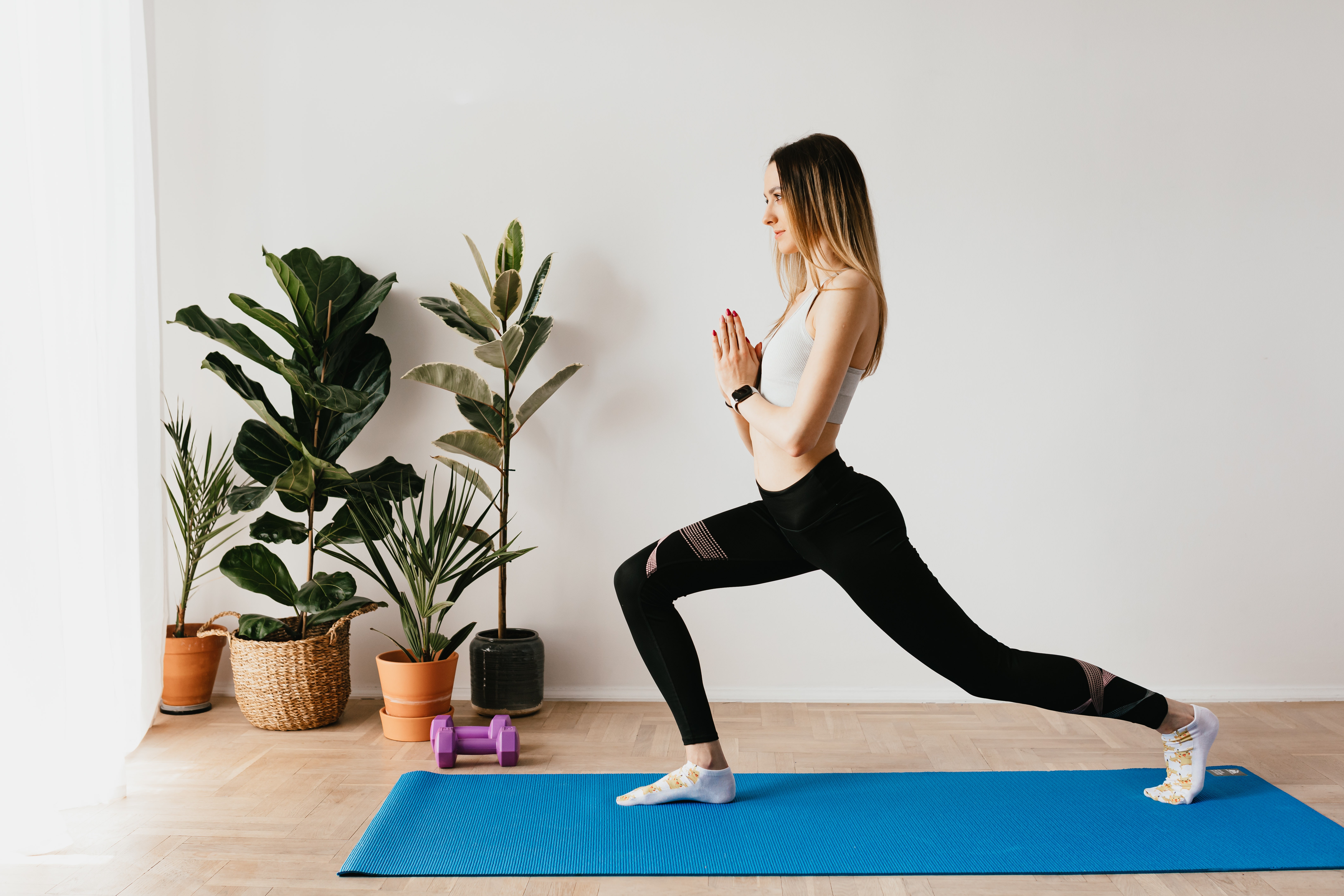 Activitats FIT_EXPRESS Estiu en línia