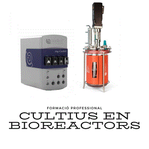 Cultius en bioreactor (FP)