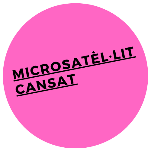 Microsatèl·lit Cansat