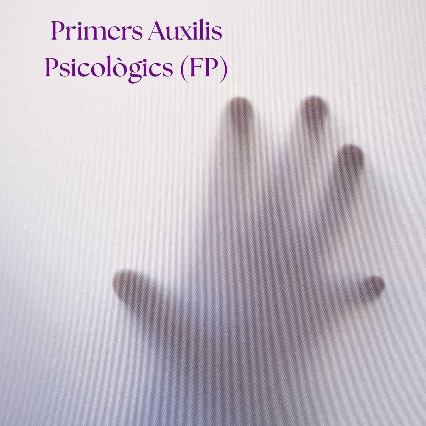  Primers auxilis psicològics als centre educatius (FP)