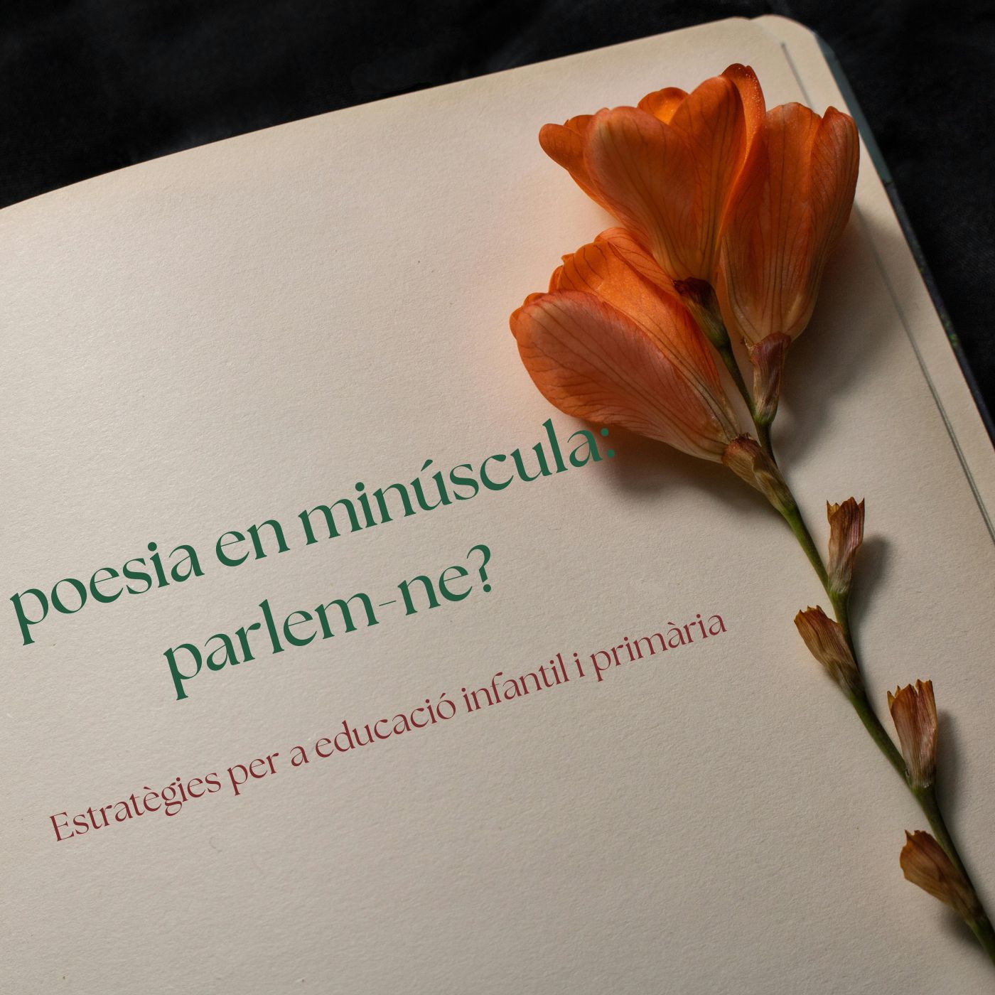 poesia en minúscula: parlem-ne?   Estratègies per a educació infantil i primària