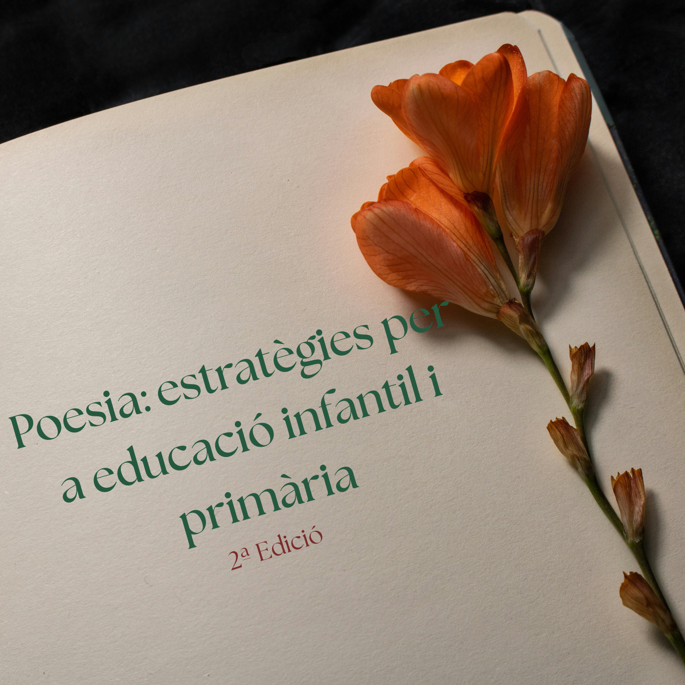 Poesia: estratègies i recursos per a educació infantil i primària (segona edició)