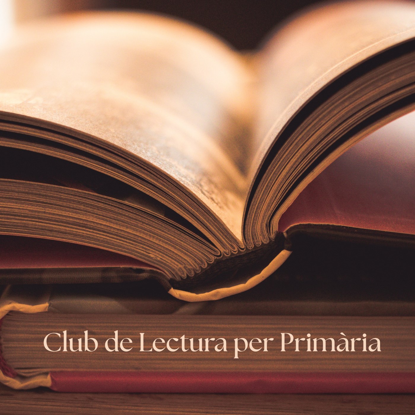 Club de lectura per primària