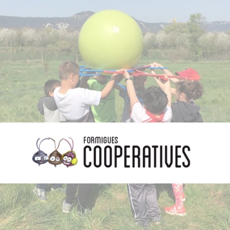 IV Jornada de formació. Formigues cooperatives