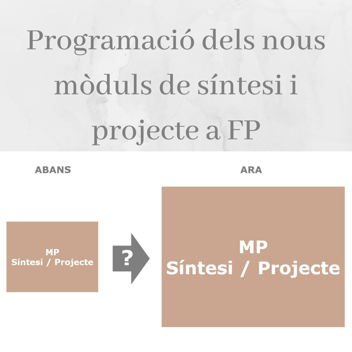 Programació dels nous mòduls de síntesi i projecte a FP