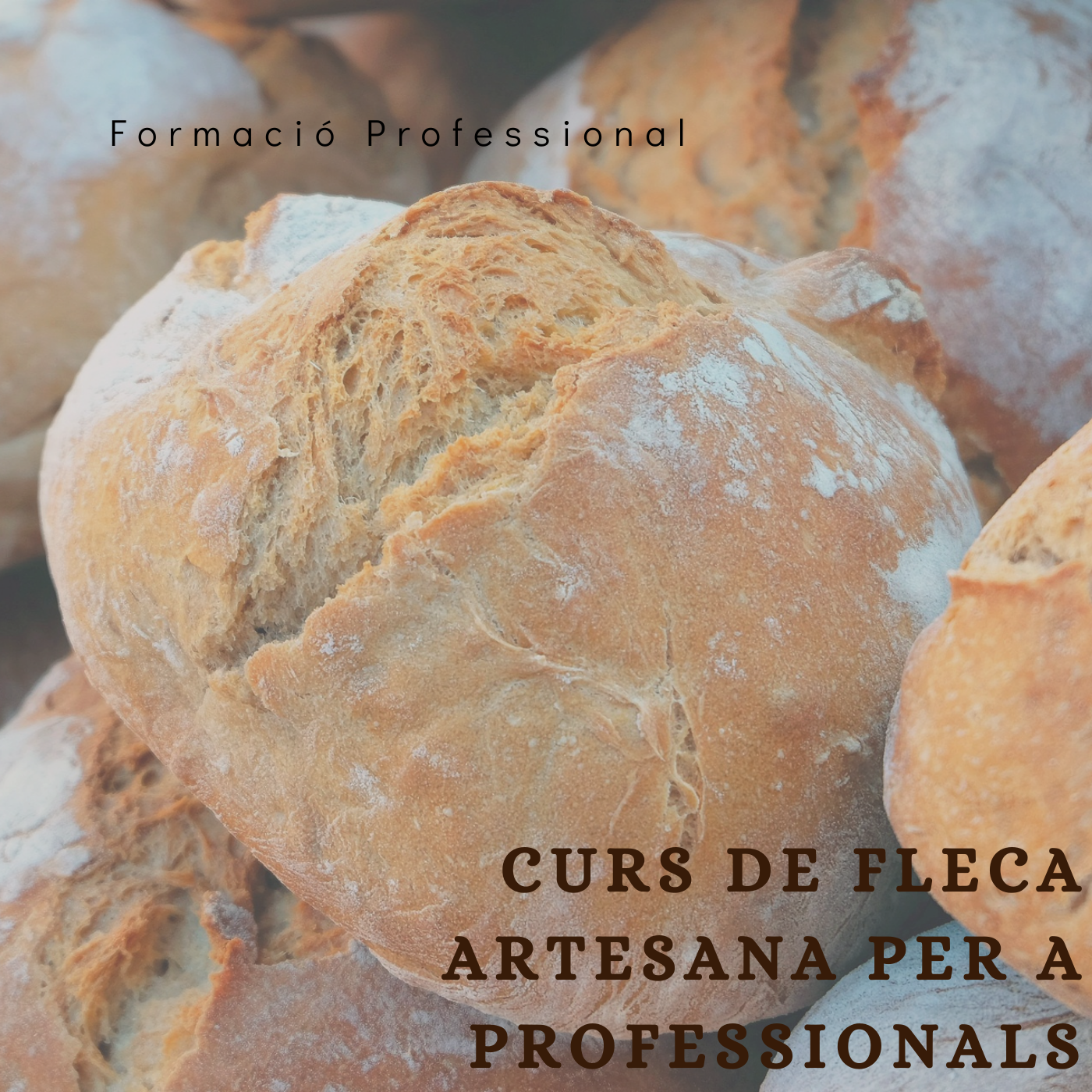 Fleca Artesana per a Professionals (FP)