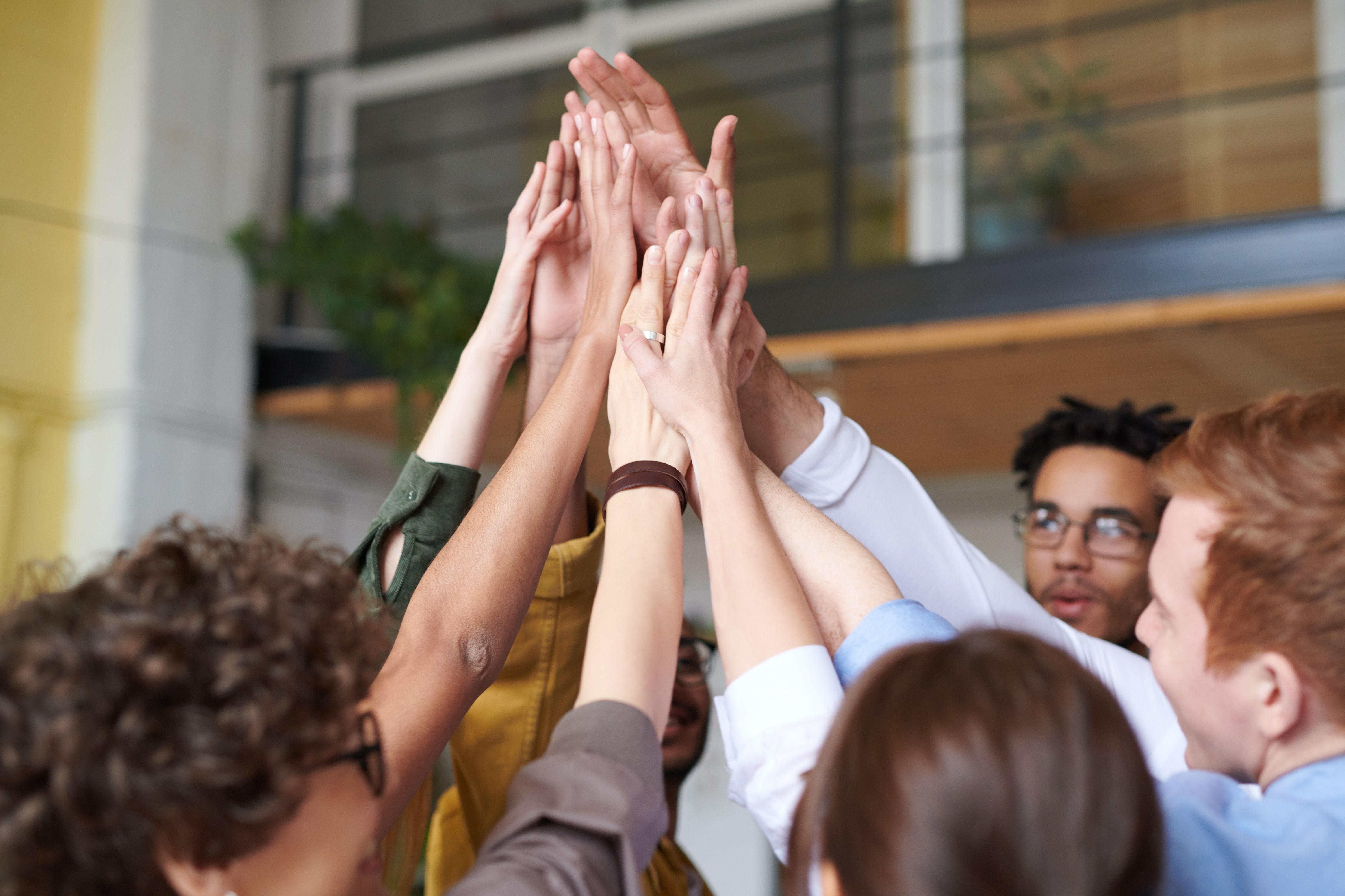 Lideratge i cohesió d'equips 