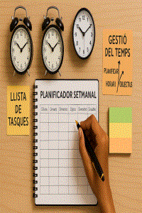 Gestió del temps i organització del treball