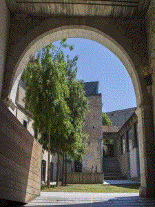 Novetats de la LOSU: implicacions per a la gestió de la docència universitària