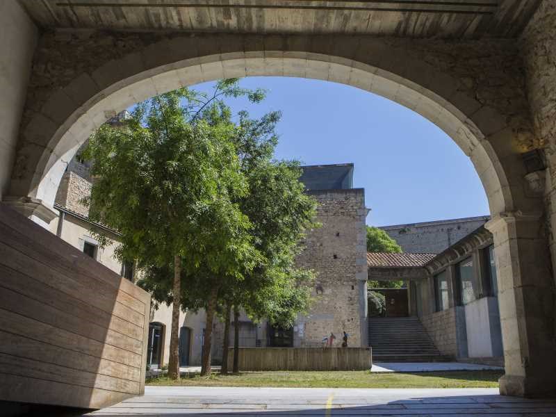 Novetats de la LOSU: implicacions per a la gestió de la docència universitària