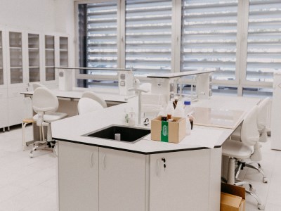 Estratègies d'Aprenentatge Actiu en Assignatures de Química. Exemples d'implementació en assignatures teòriques i experimentals
