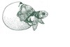 CENTRE DE REPRODUCCIÓ DE TORTUGUES DE L'ALBERA