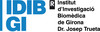 INSTITUT D'INVESTIGACIÓ BIOMÈDICA DE GIRONA IDIBGI DR. JOSEP TRUETA